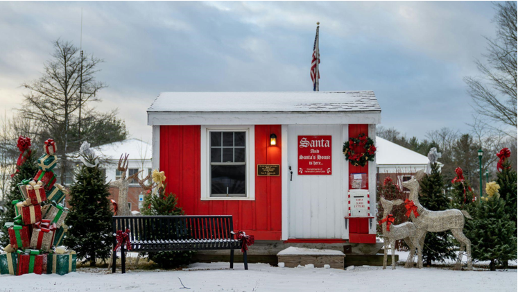 Christmas Trees for Sale: Add Festive Cheer to Your Holidays